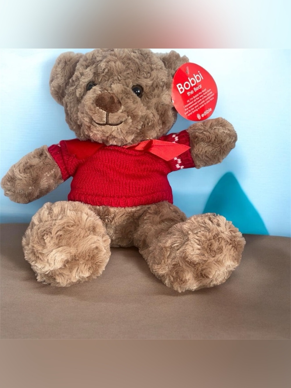 Bobbi the Bear Plush in Brown with Red Sweater